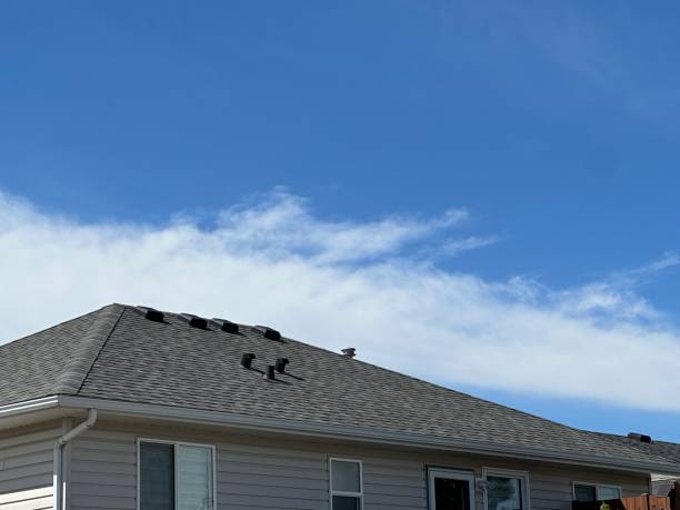 Best Asphalt Shingle Roofing  in Duson, LA